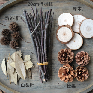 【天然树枝】干枯木棍树叶木头树皮立体手工画松果木片桦树