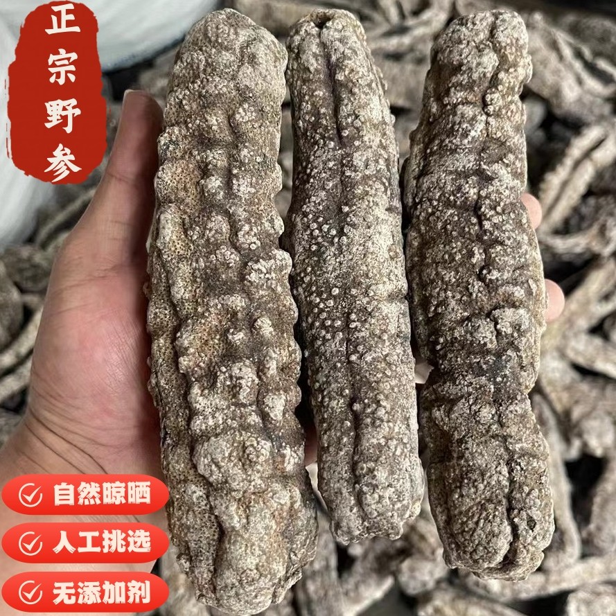 澳洲梅花公淡干海参野生深海干货进口天然精选梅花参高端酒店食材