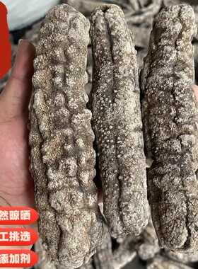 澳洲梅花公淡干海参野生深海干货进口天然精选梅花参高端酒店食材