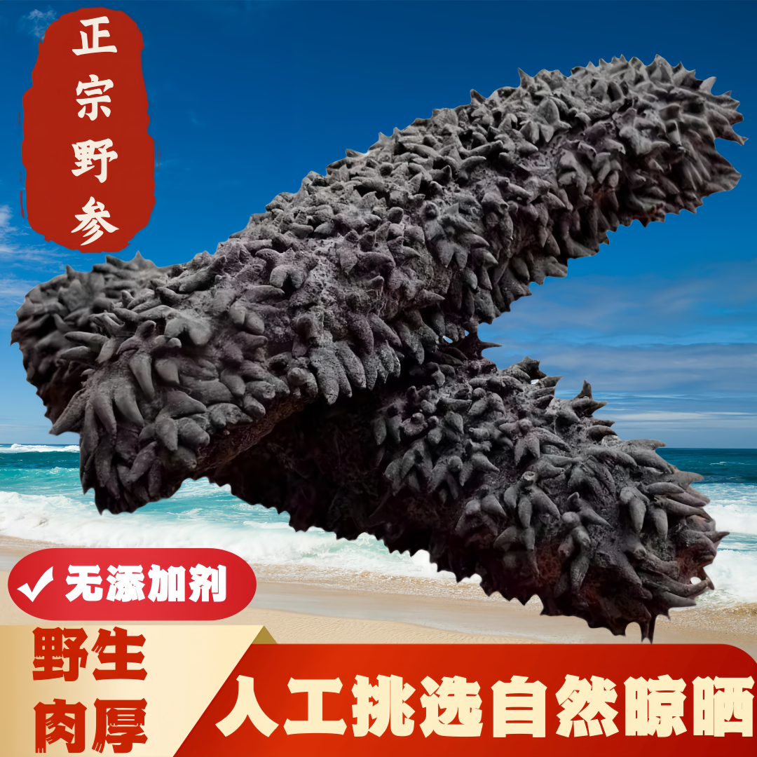 澳洲梅花参进口淡干天然特级野生海参深海刺参食用水产滋补品干货
