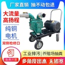 养殖场专用抽粪泵化粪池清理养猪场吸粪泵高扬程排污水淤泥泥浆泵