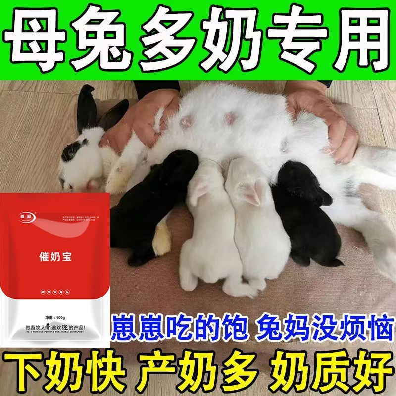 兔子产后下奶催奶坐月子母兔饲料兔兔保健品