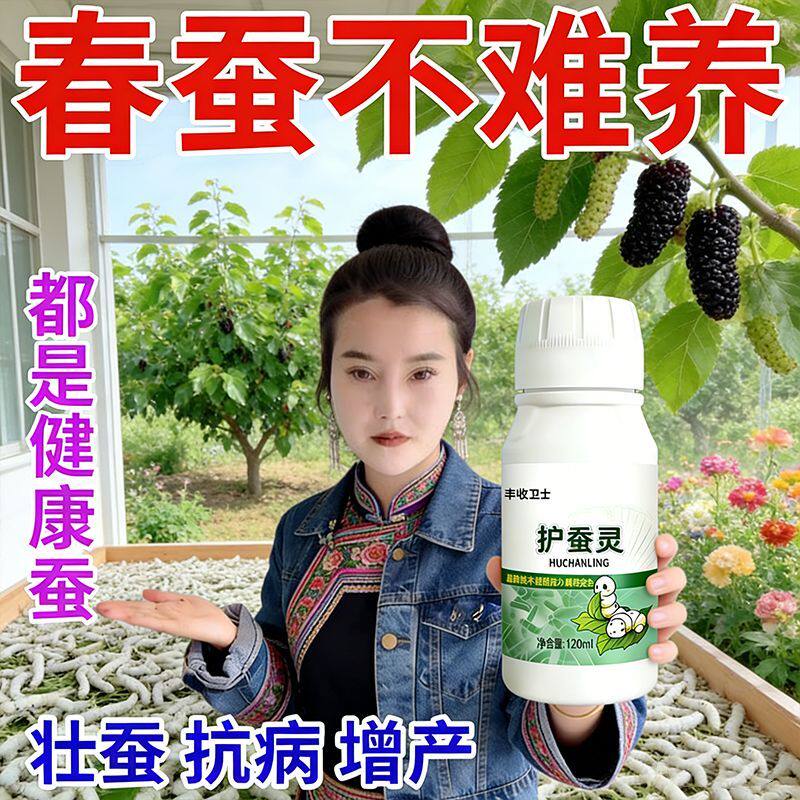 【抗病促长】养蚕专用药不生病桑蚕柞蚕药蚕宝宝防拉稀脓僵蝇蛆病