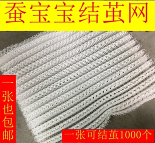 蚕宝宝结茧网吐丝网大茧网网簇养蚕网方格簇养殖户工具网包邮批