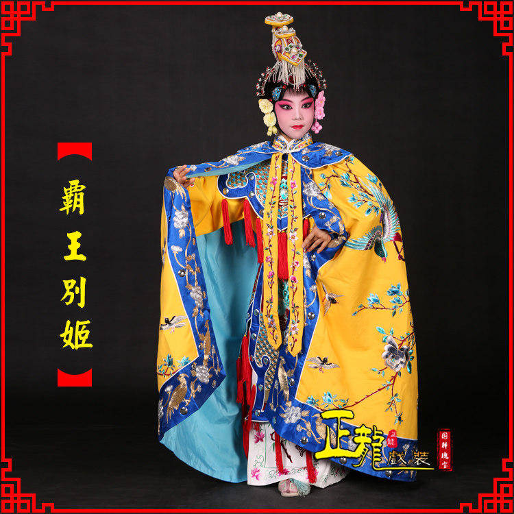 正龙戏装虞姬服 少儿童戏曲演出服装京剧霸王别姬鱼鳞甲花旦披风