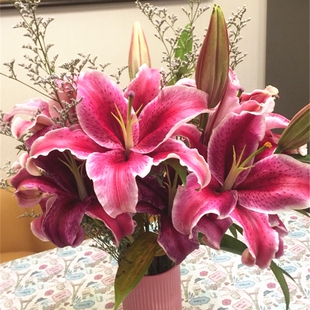 黑美人香水百合花水养鲜切花花束云南基地直发同城速递玫瑰元旦节