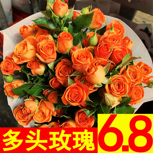 云南蔷薇水养玫瑰花教师节