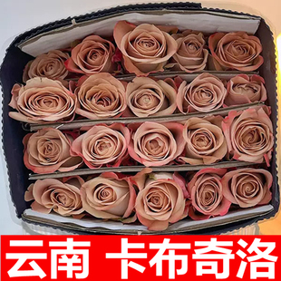 卡布奇诺香槟玫瑰鲜花百合花束云南昆明基地直发鲜切花水养客厅插