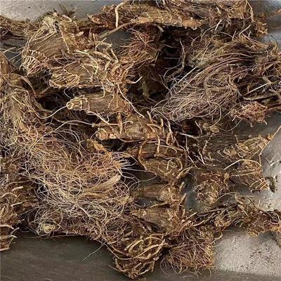 野生九子连环草 九指连环草,九指连黄草,一串妞子纯根干货中药材