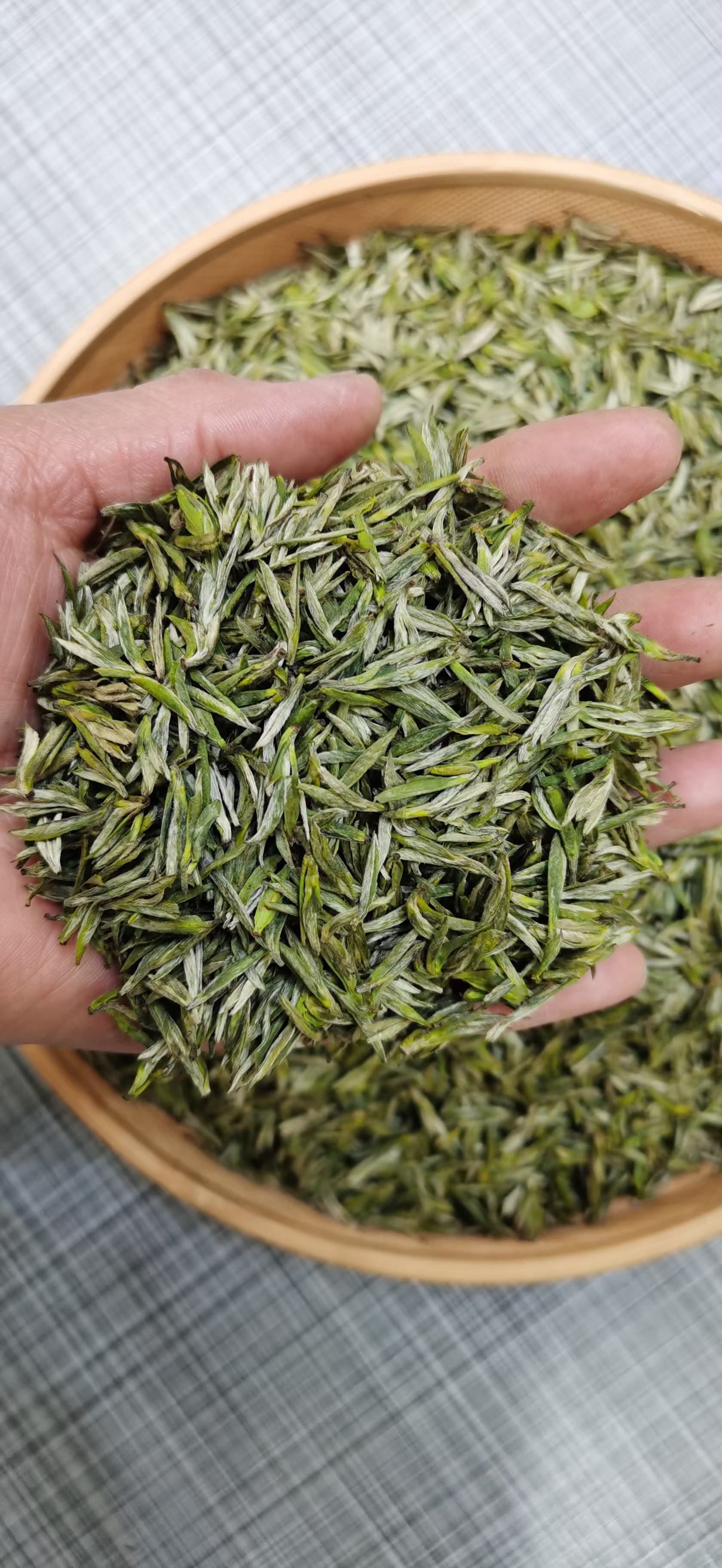 2024新茶特级春茶湖北宜昌五峰芽毛尖栗香炒青耐泡绿茶叶500g散装