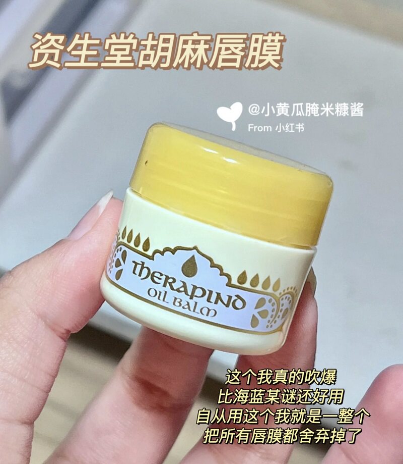 【保税】资生堂魔唇夜间修护唇膜胡麻润唇膏