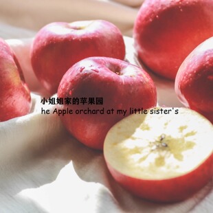 2025新摘甘肃靖远三滩镇绿色无污染新鲜水果当季冰糖心红富士苹果