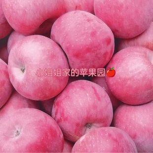 2025新摘甘肃靖远三滩镇绿色无污染新鲜水果当季冰糖心红富士苹果
