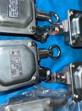 议价-船用救生艇限位开关，伙食吊限位开关LWZO-110ET4原厂