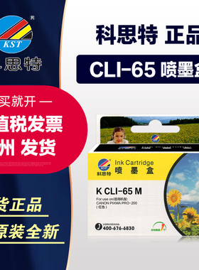 科思特墨盒 CLI-65 BK CMY GY L 适用 Canon 佳能 PIXMA PRO-200 PRO200 彩色喷墨照片打印机