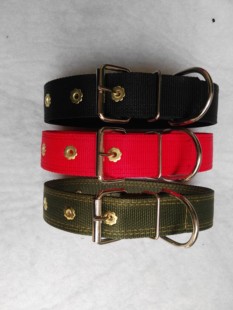 包邮 备2条20省 颈圈训练用品装 比特犬猛犬幼犬精致豪华单扣脖圈