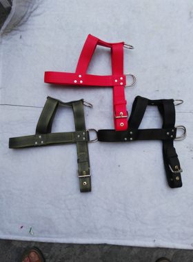 猛犬比特犬训练用品大型