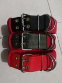 包邮 猛犬大型狗比特犬训练用品装 备斗狗包绒加厚脖项圈两件十六省