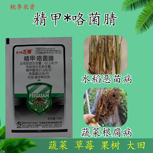 放大镜飞灌农药杀菌剂精甲咯菌腈晴根腐病灌根药种子种衣拌种剂