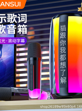 shanshui V5话筒音响一体麦克风儿童K歌家庭ktv套装唱歌显示歌词