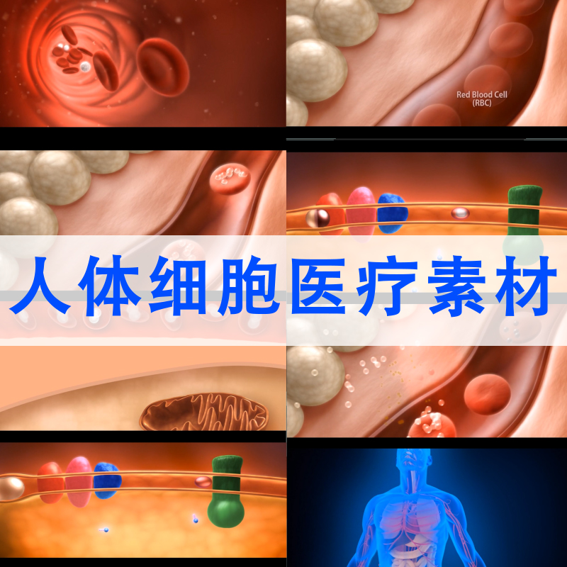 医疗细胞细菌病毒动画医学疾病研究演示药物作用发展过程视频素材