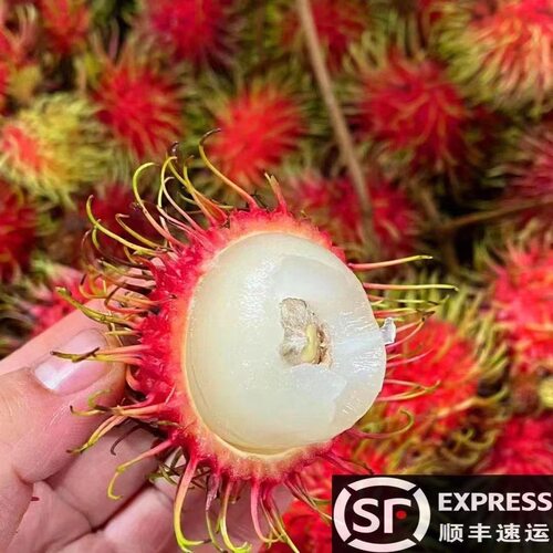 现摘现发红毛丹净1-5斤现摘新鲜水果包邮毛荔枝孕妇当季水果甜