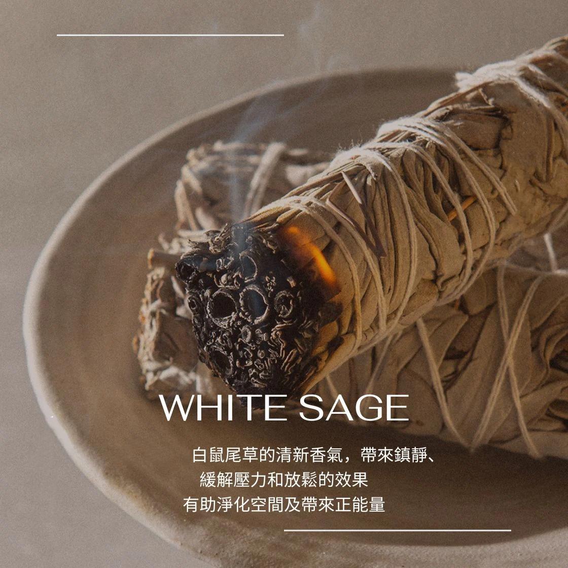 美国加州进口白鼠尾草净化熏香