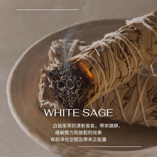 美国加州进口白鼠尾草香薰杖white sage净化熏香天然鲍鱼贝壳支架