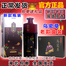 全国发货官方上者多魅六师六味乌密草一洗黑彩色黑色植物洗发水膏