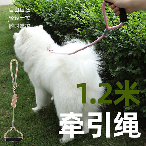 马卡龙色狗狗P绳宠物牵引绳成犬中大型犬P链训犬防爆冲遛狗绳