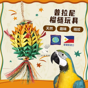 普拉尼天然手工棕榈叶鹦鹉啃咬觅食玩具榴莲菠萝甜瓜皮纳塔