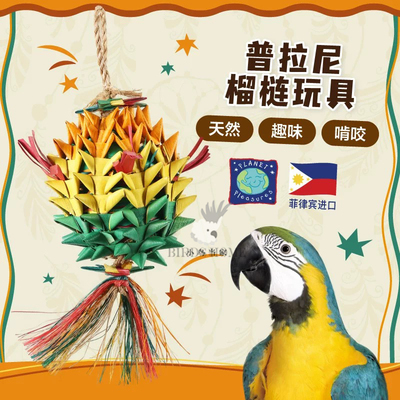 普拉尼榴莲皮纳塔棕榈叶鹦鹉玩具