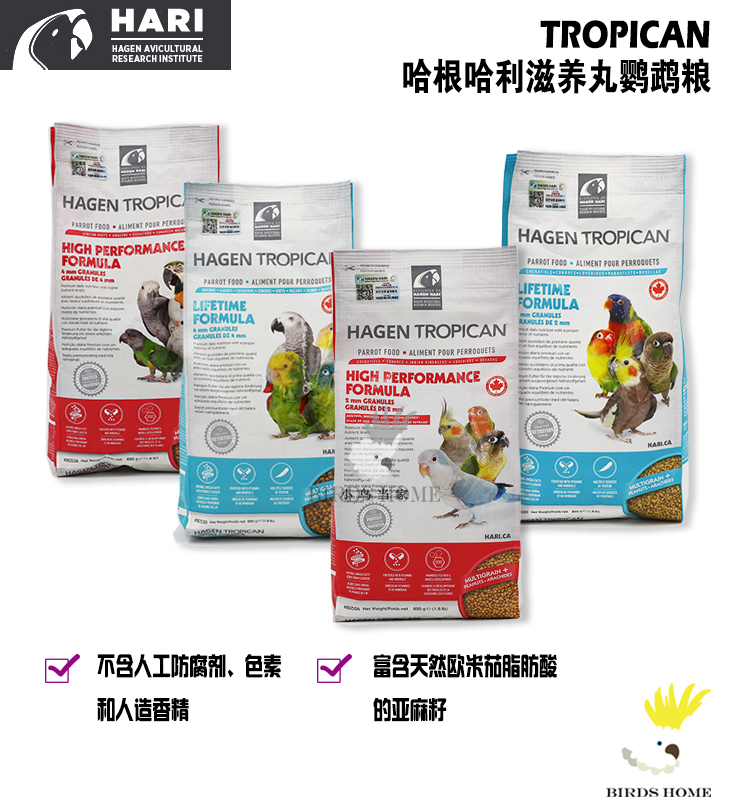 加拿大哈根哈利鹦鹉滋养丸