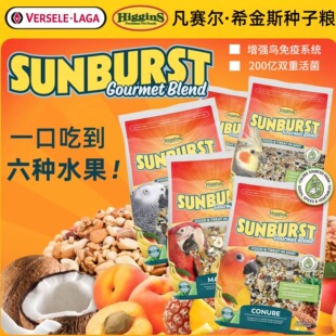 Higgins希金斯阳光盛宴高级鹦鹉粮鸟粮互动零食饲料种子粮小太阳