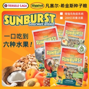 Higgins希金斯阳光盛宴高级鹦鹉粮鸟粮互动零食饲料种子粮小太阳
