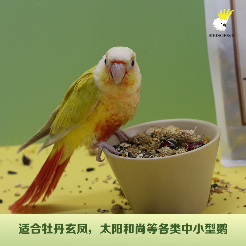 中小型鹦鹉花草坚果粮鸟之家