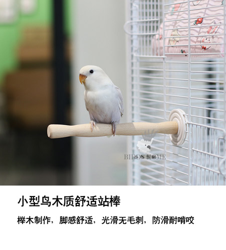 小鸟当家天然榉木站棒T字站台