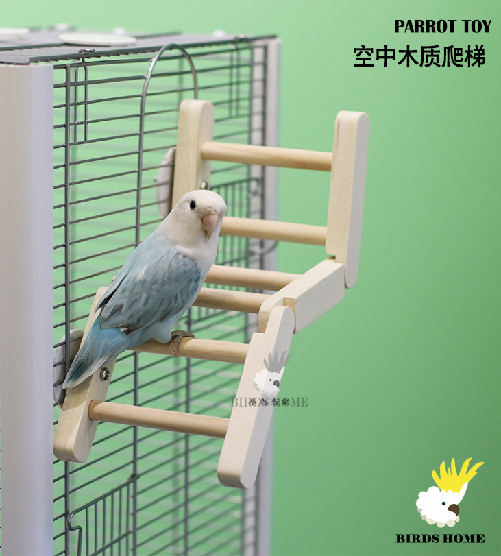 宠物鸟多功能木质爬梯 鹦鹉玩具攀爬站台中小型鸟虎皮牡丹玄凤等,宠物/宠物食品及用品,鸟禽其他,淘宝优惠券,粉丝福利购,淘宝优惠卷
