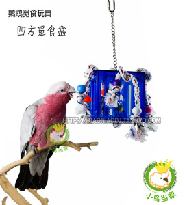 小鸟当家鹦鹉玩具 觅食玩具 亚克力四方觅食盒