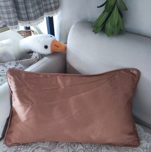 C1孤品客厅沙发样板房车内护腰枕长方形抱枕套靠垫套30*50不含芯