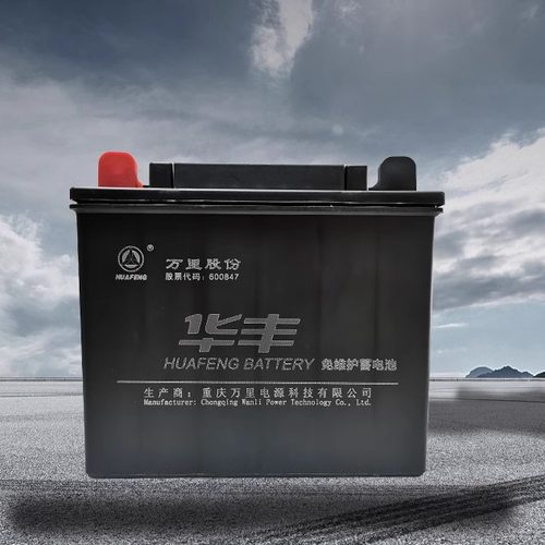 其他家蓄电池免维护启动电瓶