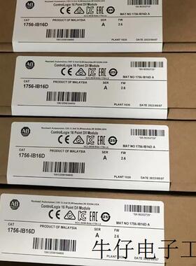 IC200PWR102,IC695CHS012,MVI56E-MCM,1794-AENTR,IT8,1783-US16T