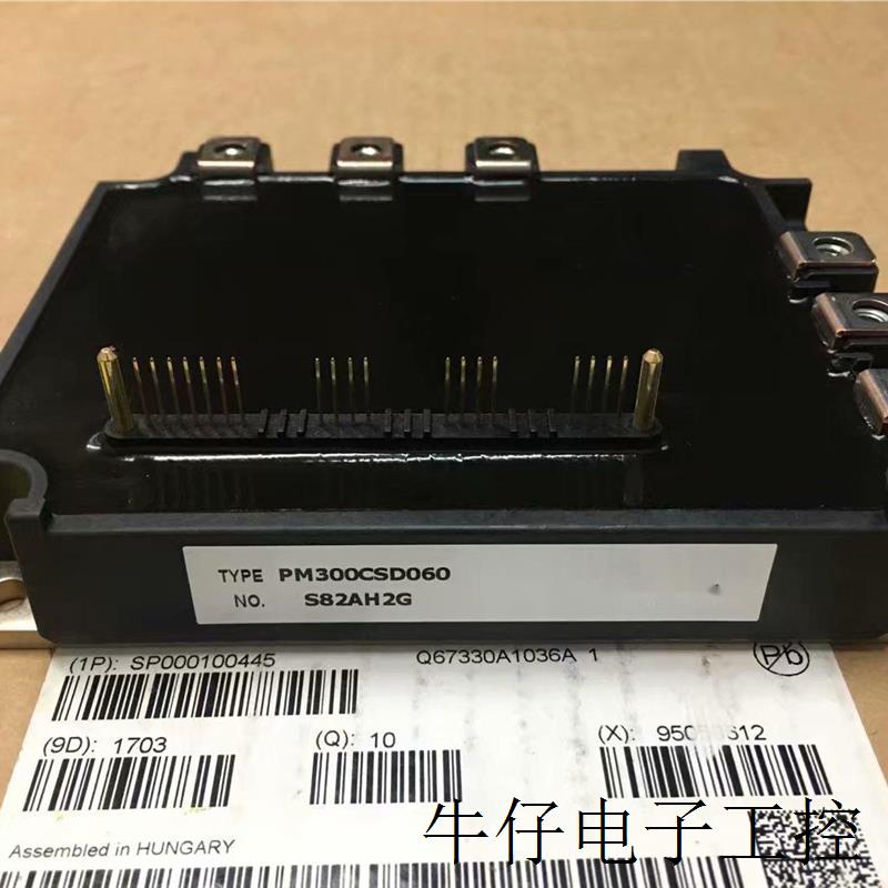 PM300CSD060 PM150RSE120 PM150RRA060 PM300RSD060 PM200RSE060