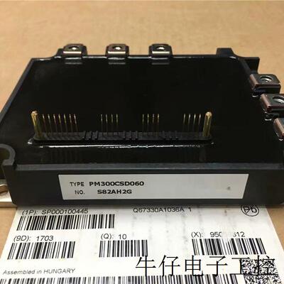 PM300CSD060 PM150RSE120 PM150RRA060 PM300RSD060 PM200RSE060