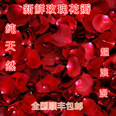 ÐÂÏÊõ¹å»¨°ê »éÇìÉúÈÕÅÝÔèãåÔ¡Çó»éÔ¡×ãÕæÏÊ»¨»¨°êÈ«¹ú˳·á°üÓÊ
