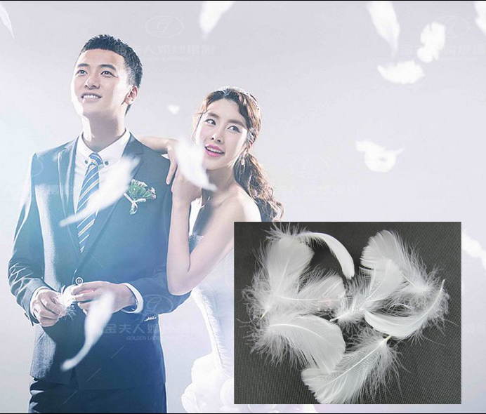 新款白色羽毛室内外景摄影道具