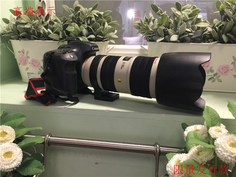 Perruque cheveux courts - Ref 2609552 Image 19