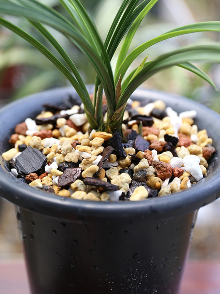 兰花专用土 高档颗粒兰花植料营养土 火烧土珍珠岩松树皮植金石