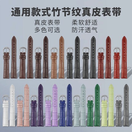 女士表带通用牛皮真皮表带针扣哑光手表皮带配件适用西普尼飞亚达