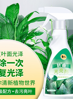 花卉植物叶面光亮剂 亮叶剂使植物叶片洁净亮丽防尘祛去灰尘增绿